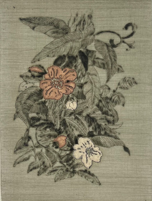 Ballif, Yannick, Blüten Rosa, 25,5 x 19cm, Radierung, 1983