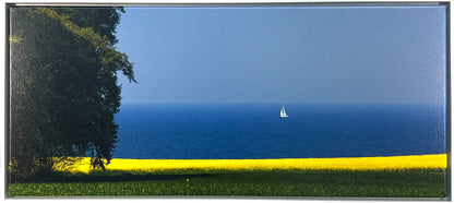 Reinstadler, Mario, Baum-Raps-Segler, 35 x 80cm, 8/50, lim. & sign., Pigmentdruck