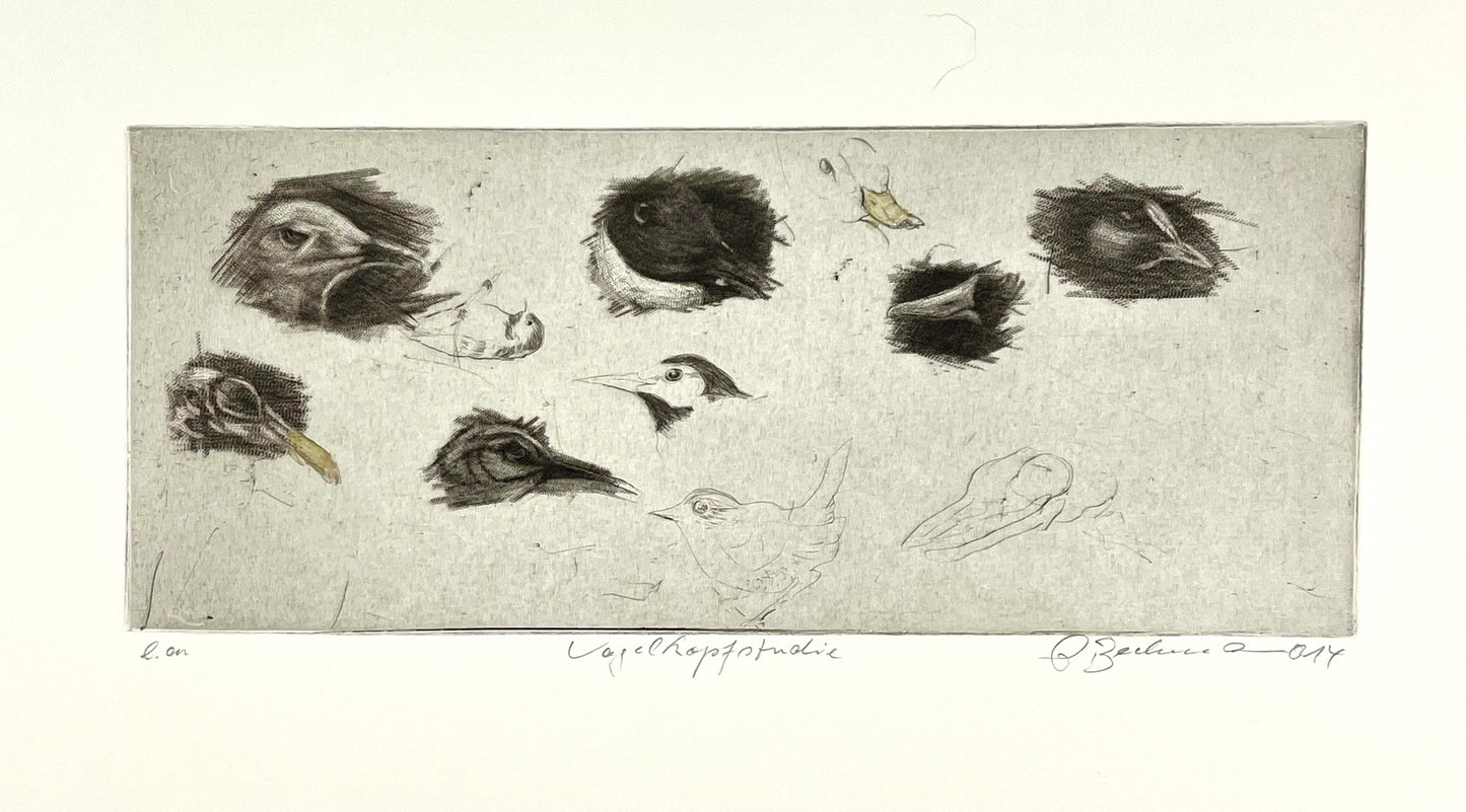 Beckmann, Otto, Vogelkopfstudie, 12,3 x 29,7cm, e.a., Radierung, 2014