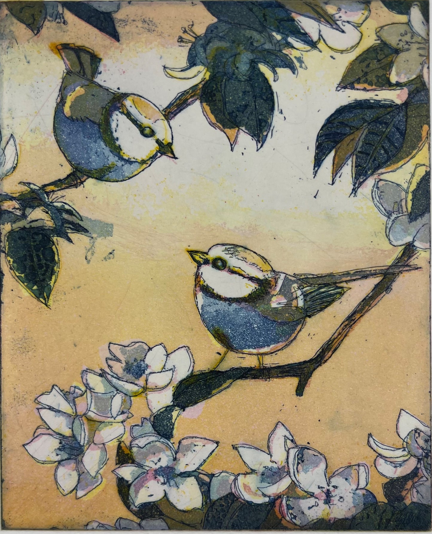 Votteler, Jutta, Blaumeisen, 15 x 12cm, 13/120, Farbradierung