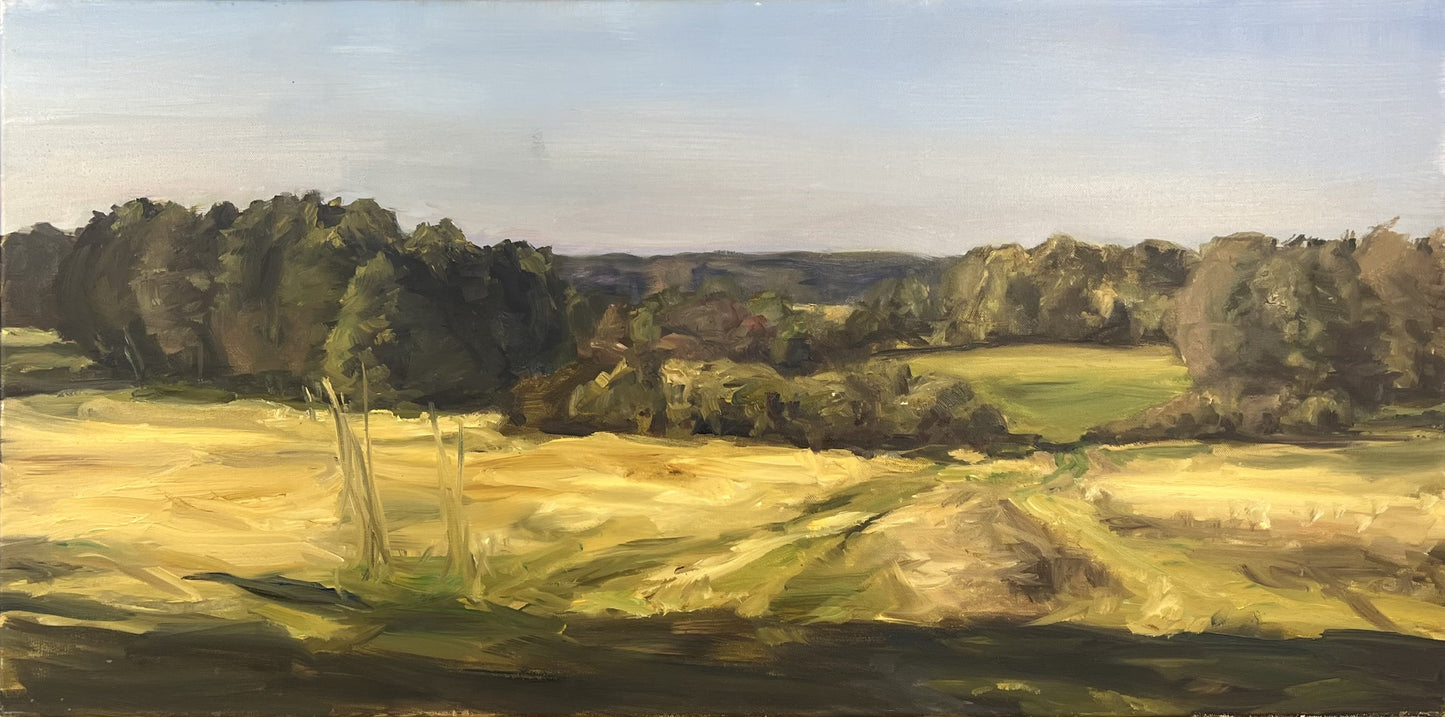 Weiner, Corinna, Brandenburgische Landschaft, Herbst, 50 x 100cm, Öl auf Leinwand