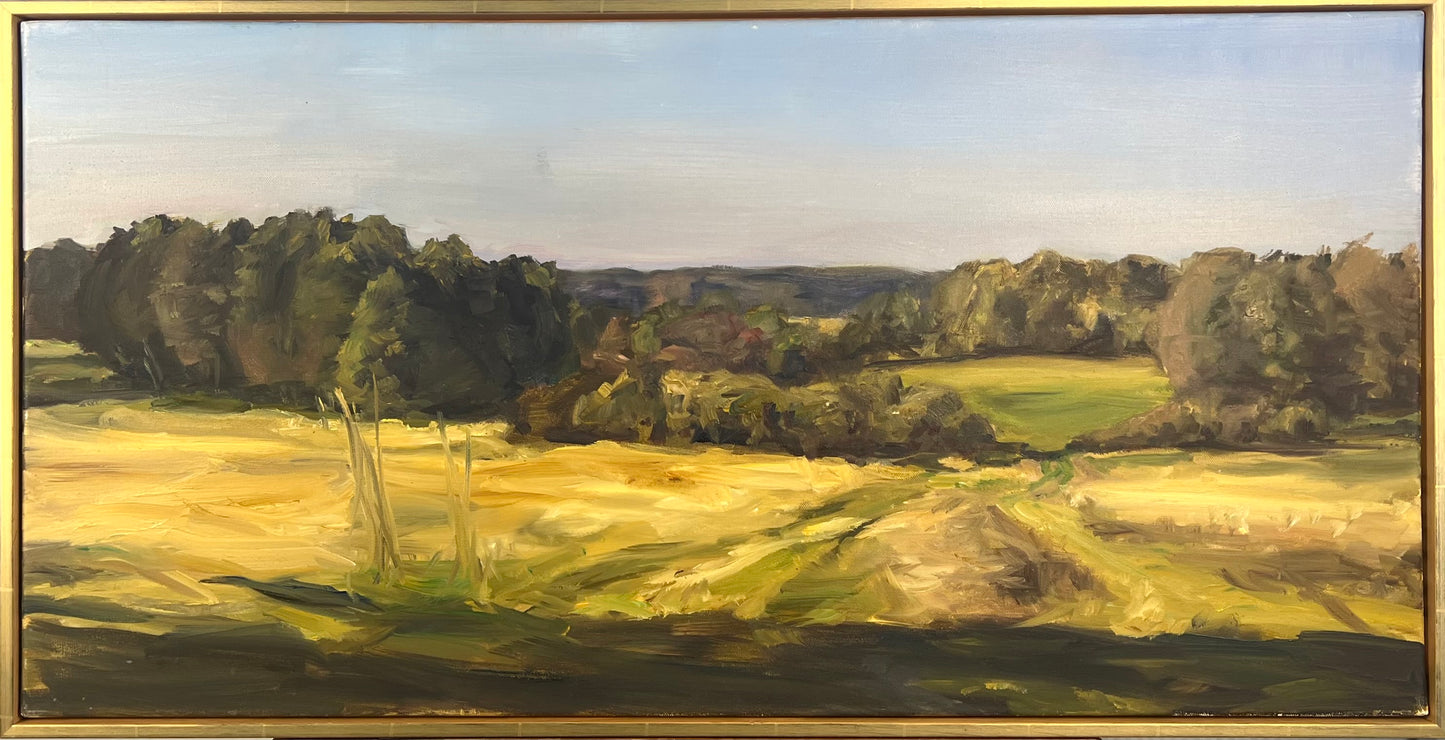 Weiner, Corinna, Brandenburgische Landschaft, Herbst, 50 x 100cm, Öl auf Leinwand