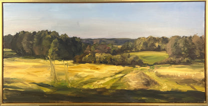 Weiner, Corinna, Brandenburgische Landschaft, Herbst, 50 x 100cm, Öl auf Leinwand