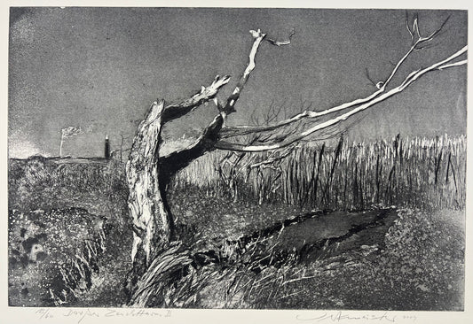 Werkmeister, Wolfgang, Darßer Leuchtturm II, 38x56,5cm, 13/60, Radierung, 2009