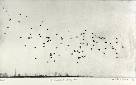 Dietrich, Nadine, Deichende, 15 x 26,5cm, 6/50, Photopolymer Etching