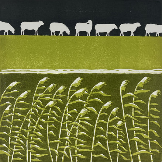 Tautz, Dieter, Deichschafe II, 30 x 30cm, 1/10, Farbholzschnitt