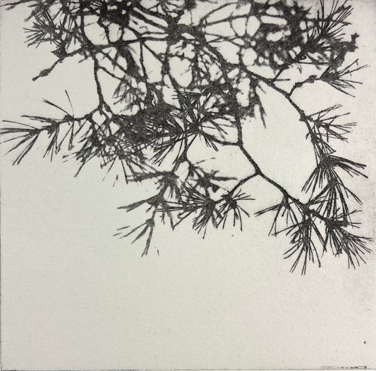 Dietrich, Nadine, Kiefer, 15 x 15cm, 6/25, Photopolymer Etching