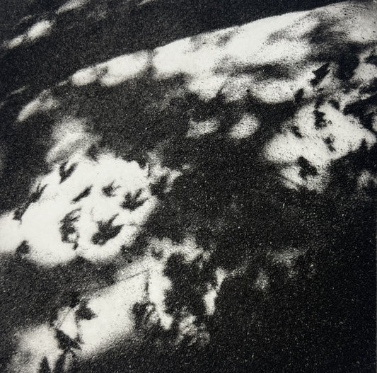 Dietrich, Nadine, Summer Streetart, 15 x 15cm, 5/50, Photopolymer Etching