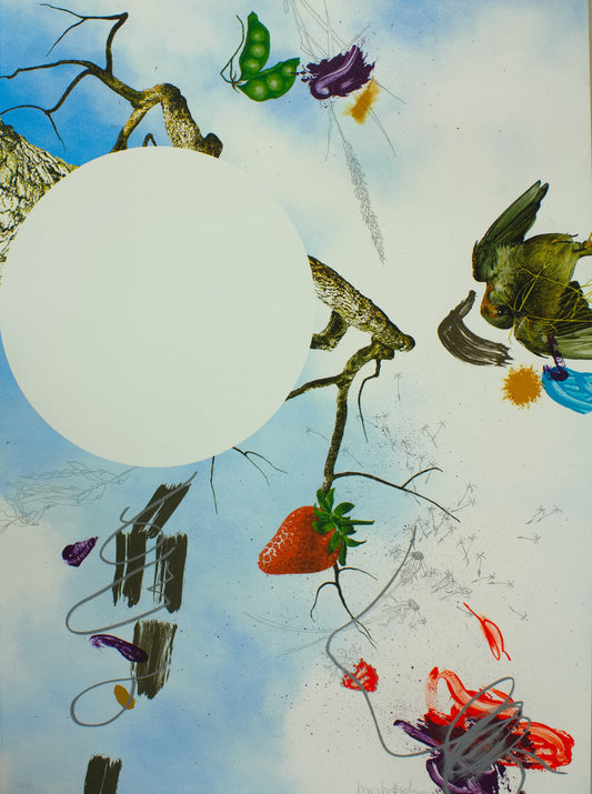 Dröscher, Benny, The sudden illumination, midday, 67 x 49cm, 38/150, Lithografie