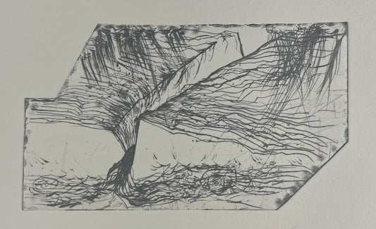 Droese, Felix, Silberrinne, 14 x 24cm, 37/100, Radierung