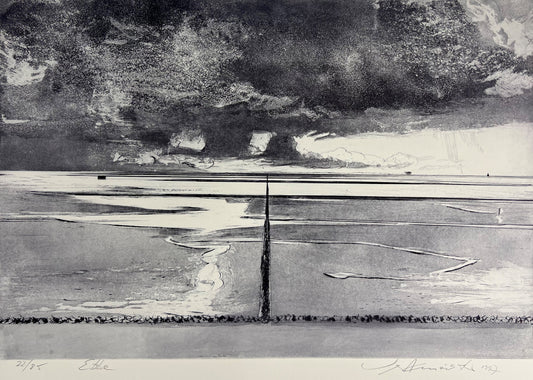 Werkmeister, Wolfgang, Ebbe, 22/85, 60 x 78cm, Radierung, 1997