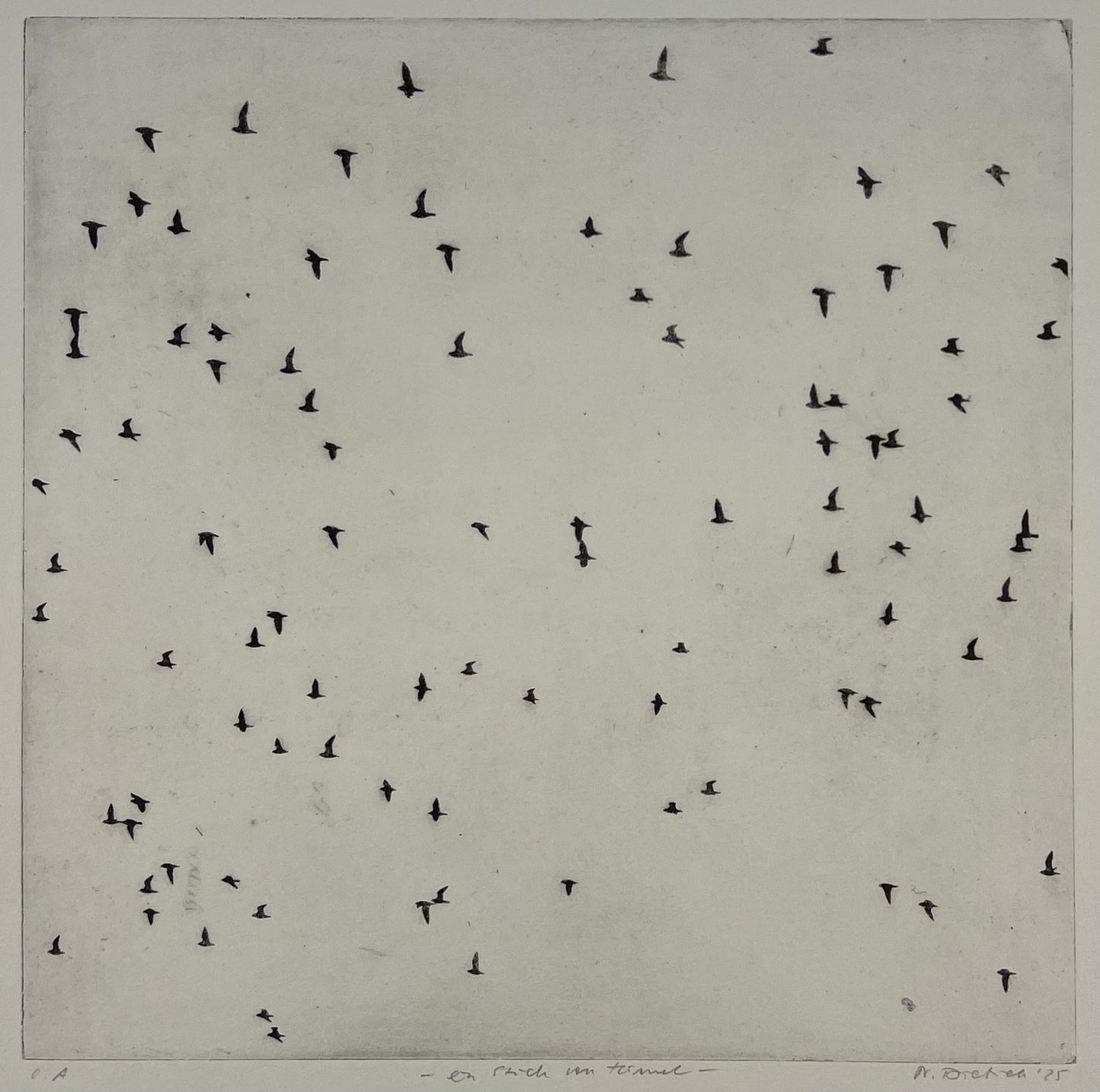 Dietrich, Nadine, Ein Stück vom Himmel, 28,8 x 28,8cm, e.a., Photopolymer Etching