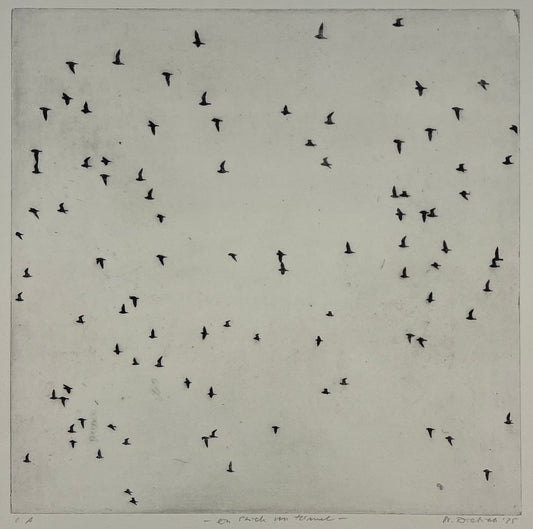 Dietrich, Nadine, Ein Stück vom Himmel, 28,8 x 28,8cm, e.a., Photopolymer Etching