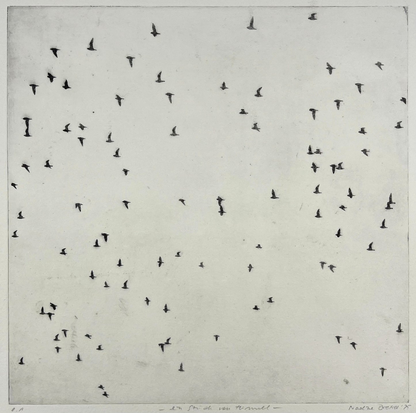 Dietrich, Nadine, Ein Stück vom Himmel, 28,8 x 28,8cm, e.a., Photopolymer Etching