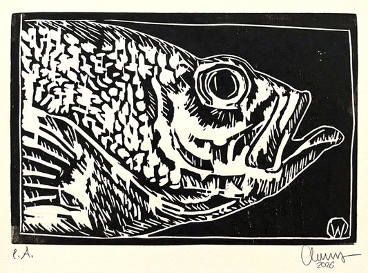 West, Ole, Fisch, 15 x 22cm, e.A., Holzschnitt, 2026