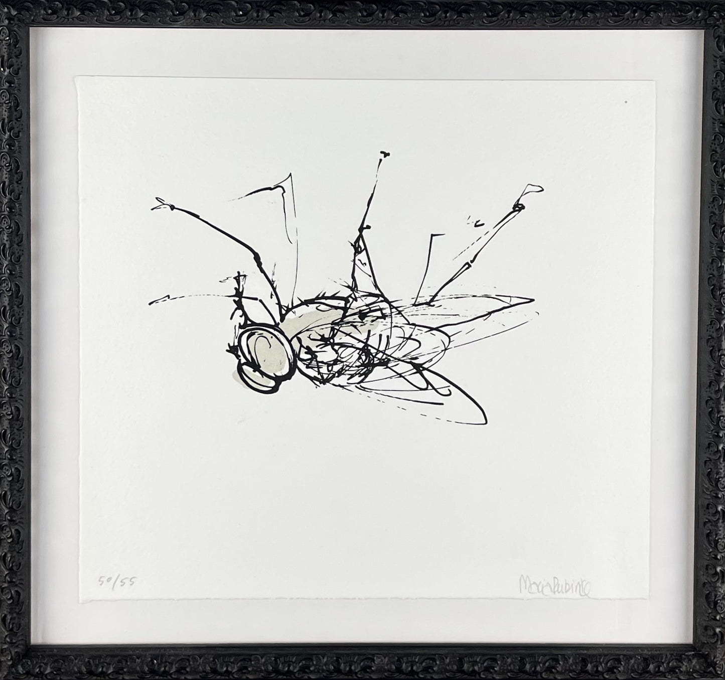 Rubinke, Maria, Fliege an der Decke, 25 x 23cm, 50/55, Lithografie