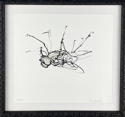 Rubinke, Maria, Fliege an der Decke, 25 x 23cm, 50/55, Lithografie