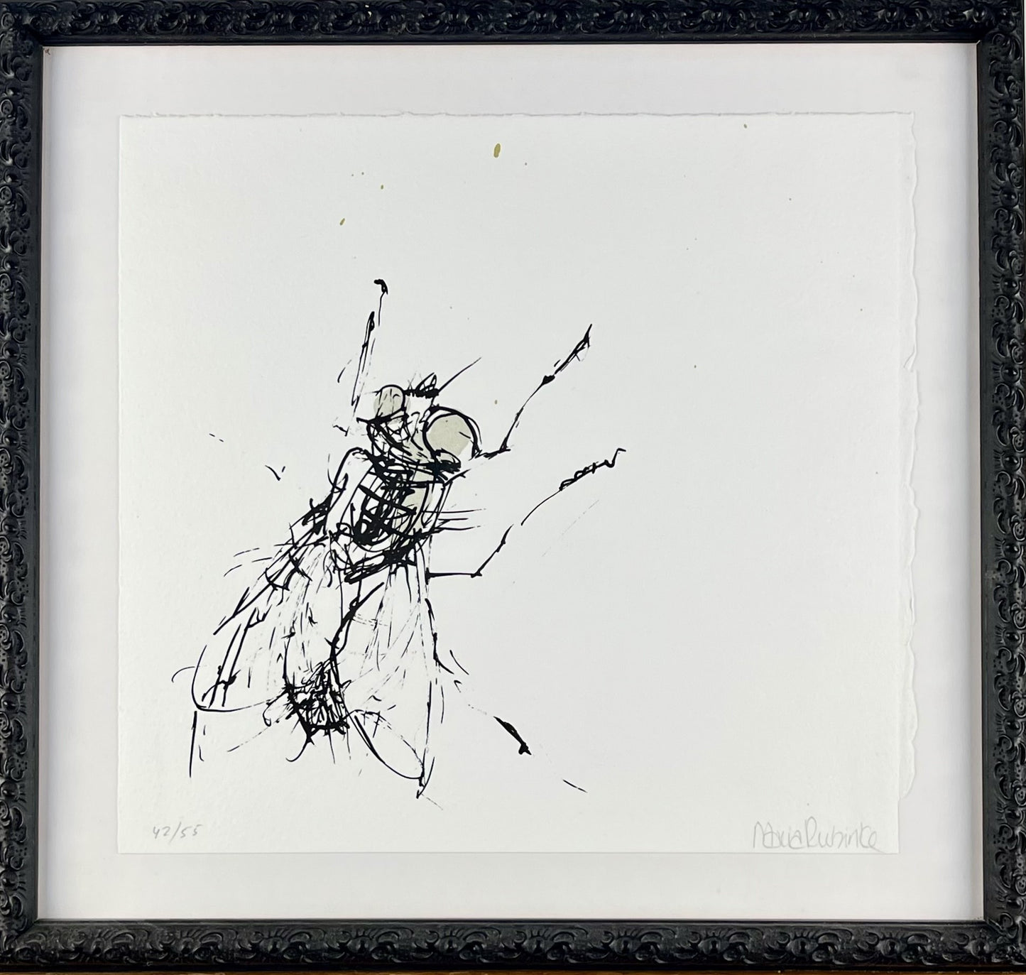 Rubinke, Maria, Fliege an der Wand, 22 x 23cm, 42/55, Lithografie