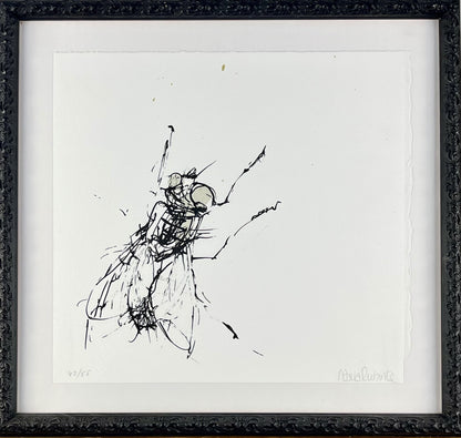 Rubinke, Maria, Fliege an der Wand, 22 x 23cm, 42/55, Lithografie