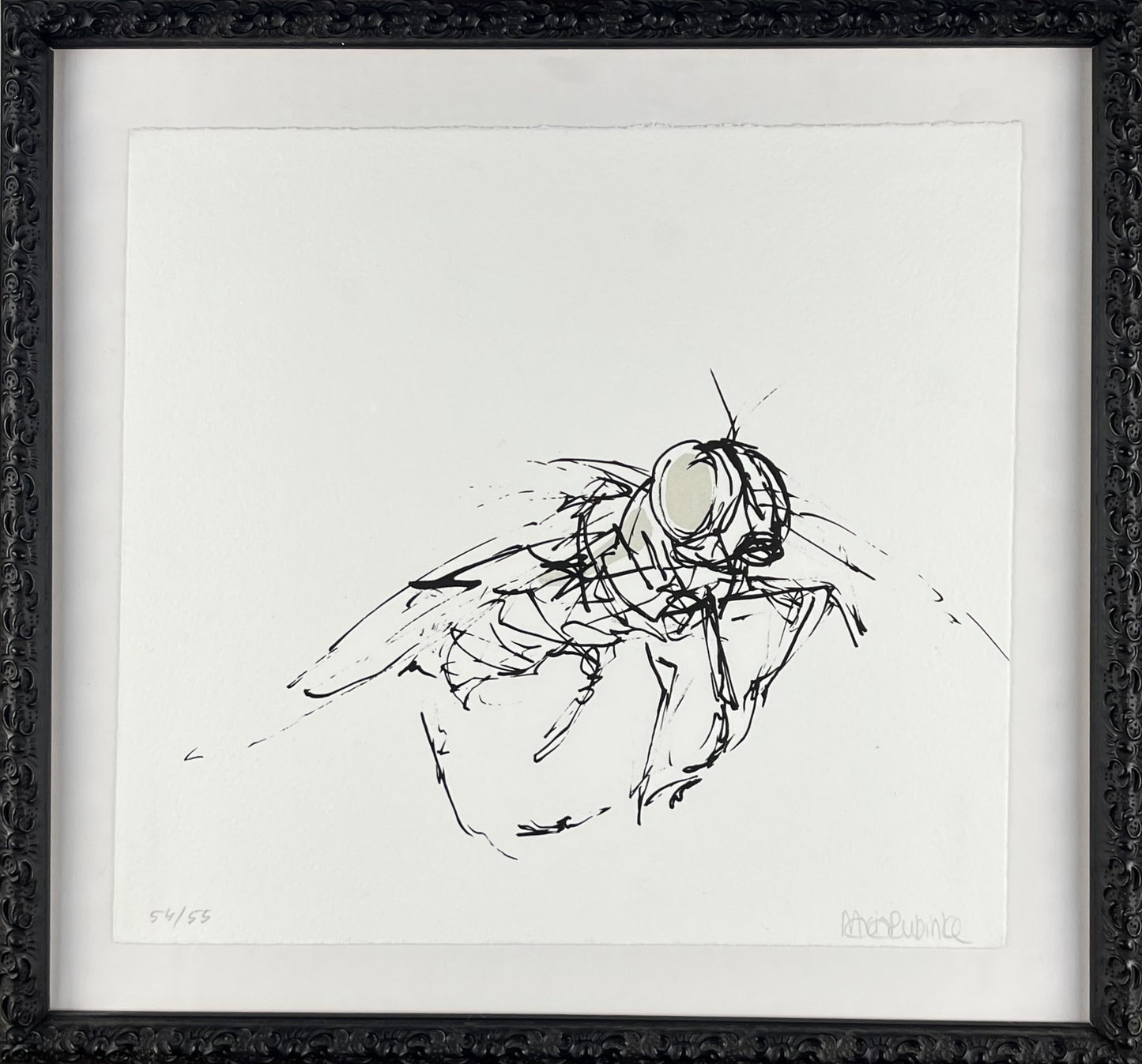 Rubinke, Maria, Fliege im Flug, 25 x 23cm, 54/55, Lithografie