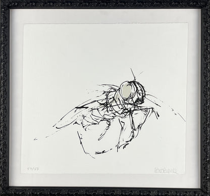 Rubinke, Maria, Fliege im Flug, 25 x 23cm, 54/55, Lithografie