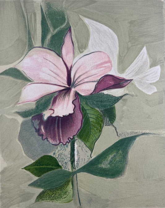 Framke, Dieter, Flora und Fauna (Rosa Blüte), 41,5 x 33cm, 9/180, Farblithografie