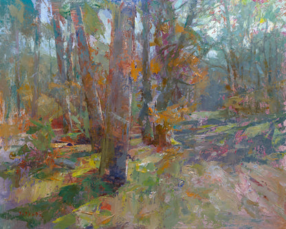 Wirtz, Björn, Gegenlicht mit Kiefern, 40 x 50cm, Ölgemälde