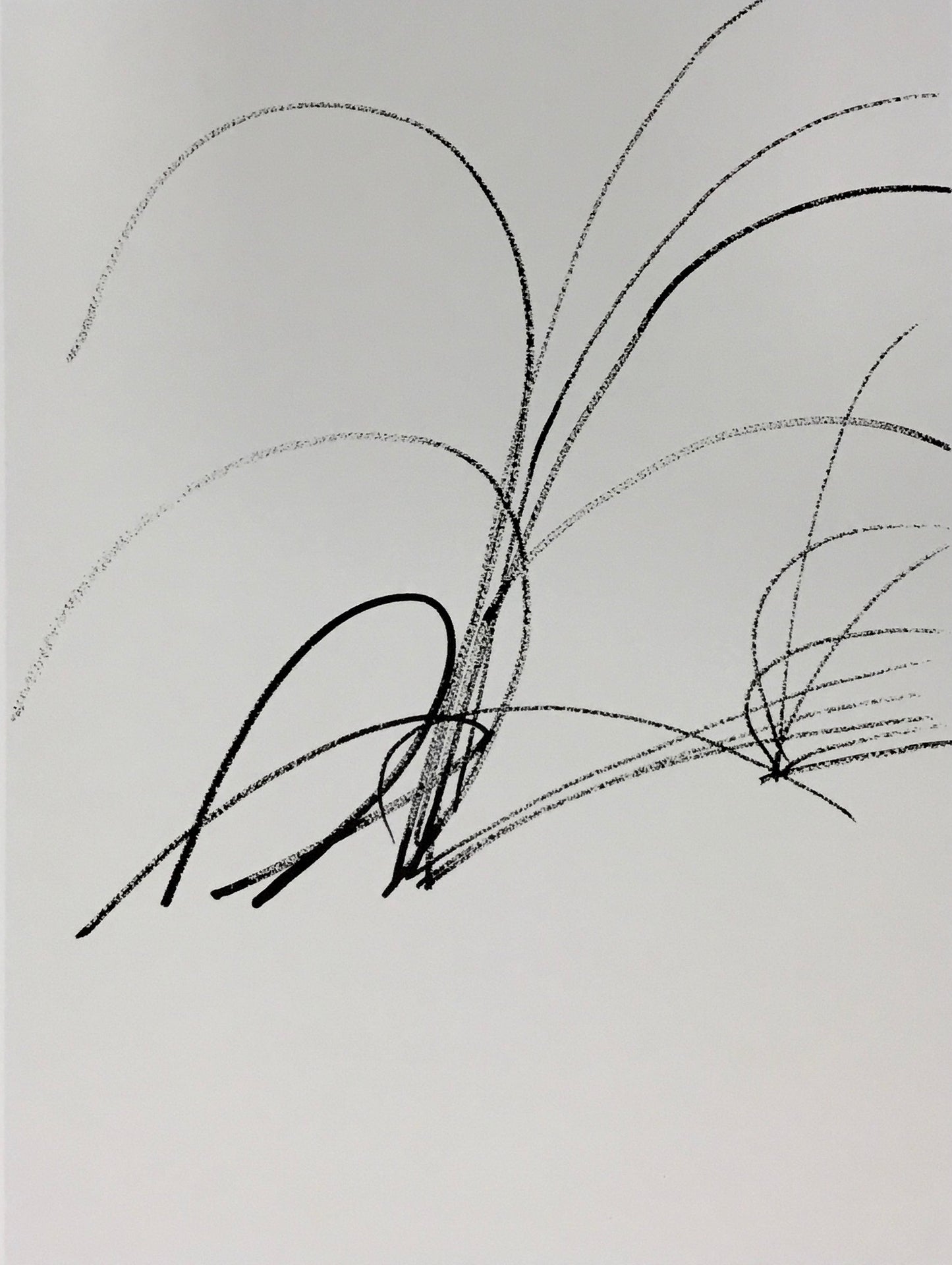 Sprotte, Siegward, Gräser, 50,5 x 38cm, 171/300, Seriegraphie, 1988