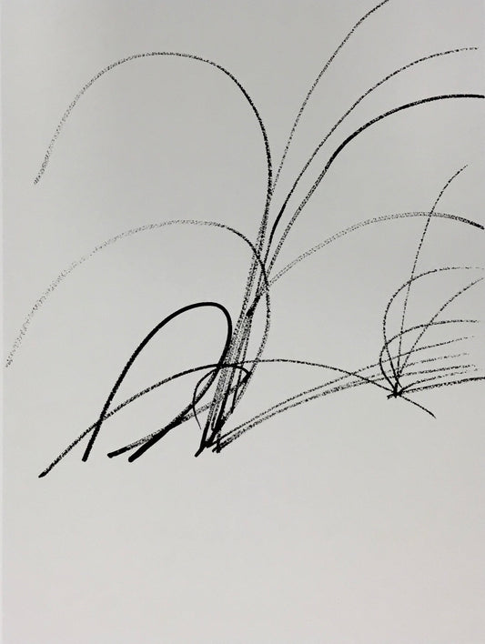 Sprotte, Siegward, Gräser, 50,5 x 38cm, 137/300, Seriegraphie, 1988