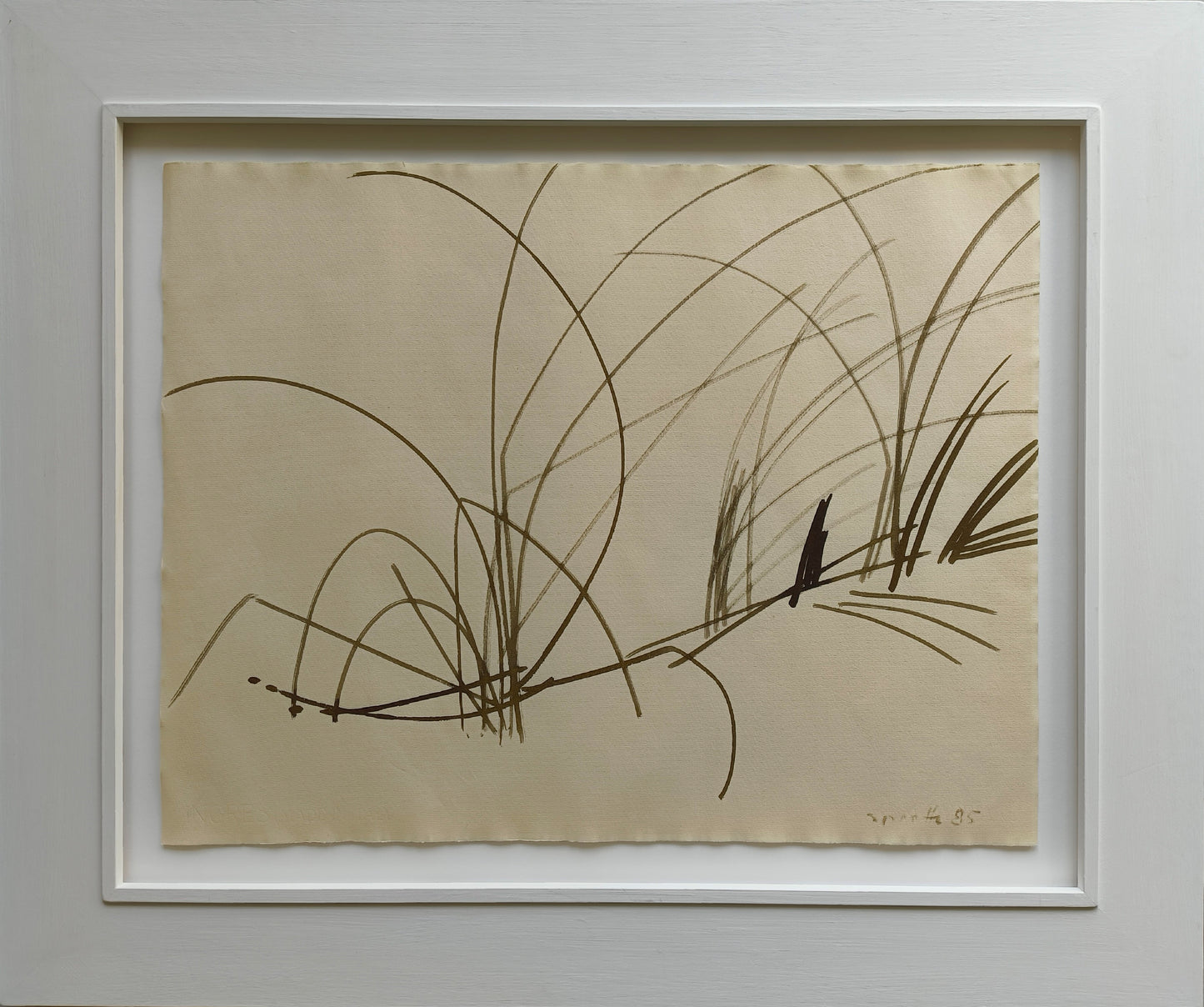Sprotte, Siegward, Gräser, 1985, Tusche auf Ingres, 48,3 x 62,1 cm