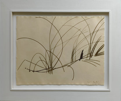 Sprotte, Siegward, Gräser, 1985, Tusche auf Ingres, 48,3 x 62,1 cm