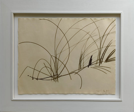 Sprotte, Siegward, Gräser, 1985, Tusche auf Ingres, 48,3 x 62,1 cm