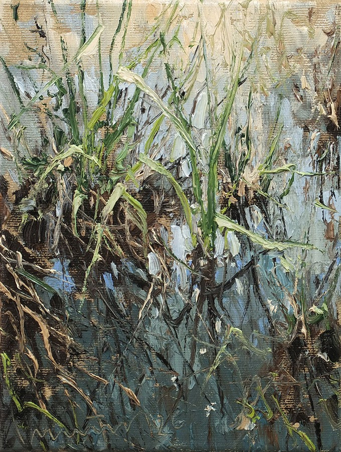 Meinel, Mathias, Gräser im Wasser, 24 x 18cm, Öl auf Leinw., 2026