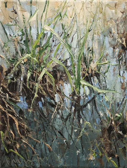 Meinel, Mathias, Gräser im Wasser, 24 x 18cm, Öl auf Leinw., 2026