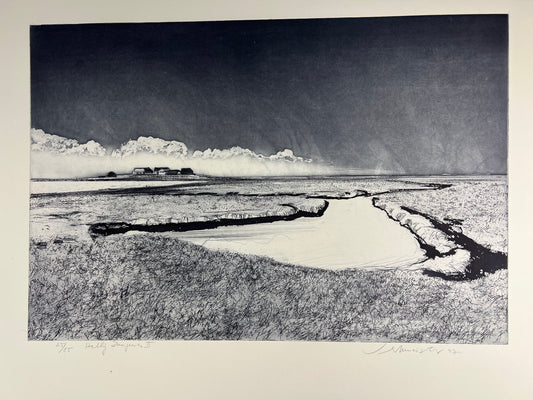 Werkmeister, Wolfgang,Hallig Langenes II, 25/85, 60 x 78cm, Radierung, 1997