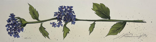 Hartmann, Susanne, Blaue Blüte, 10 x 37cm, e.a., Lithografie
