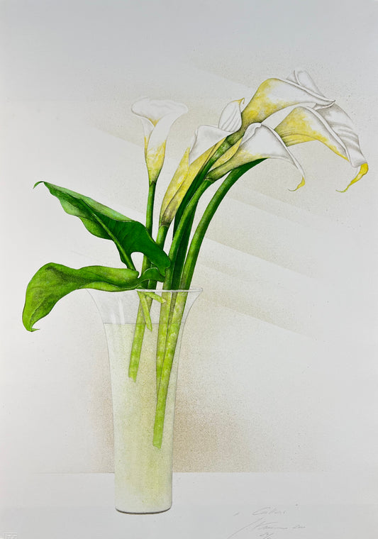 Hartmann, Susanne, Callas, 100 x 69cm, Lithografie, 2001