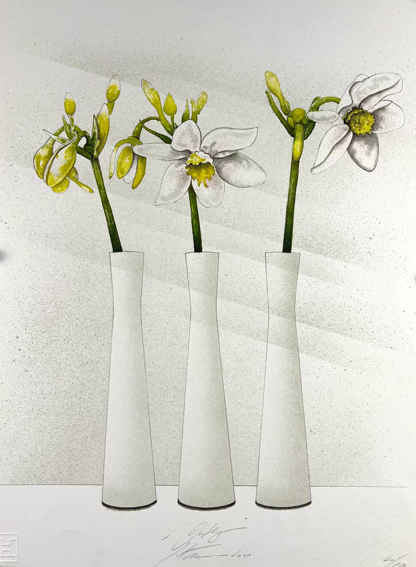 Hartmann, Susanne, Duftig, 50 x 40cm, Lithografie