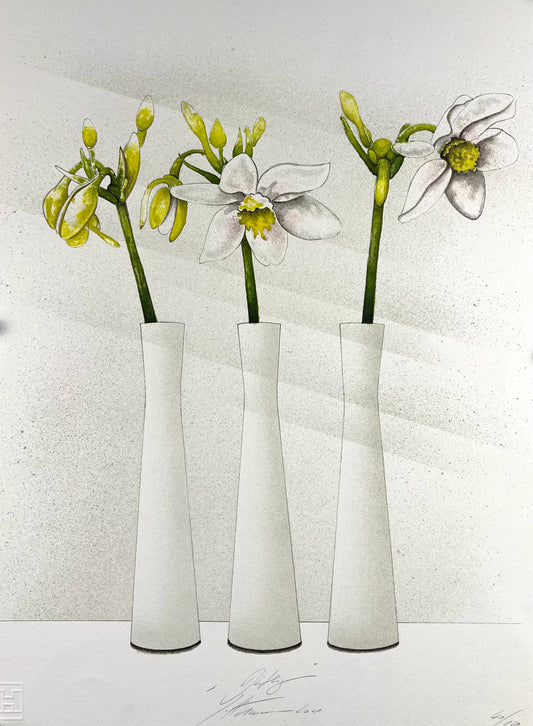 Hartmann, Susanne, Duftig, 50 x 40cm, Lithografie