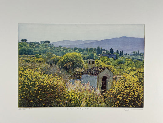 Hermann, Günther, Ginster Naturpark Etna, 20 x 30cm, Farbradierung