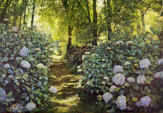 Hermann, Günther, Hortensien Bretagne, 34,5 x 49,5cm, Farbradierung