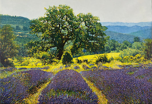 Hermann, Günther, Lavendel I Provence, 34,5 x 49,5cm, Farbradierung