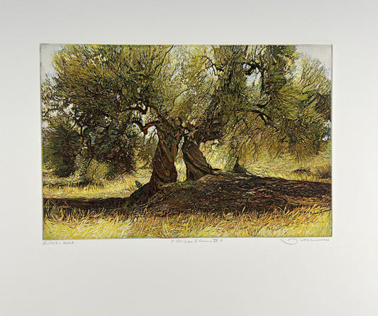 Hermann, Günther, Olivenbäume IV, 20 x 30cm, Farbradierung