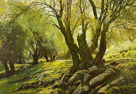 Hermann, Günther, Olivenhain Kreta III, 34,5 x 49,5cm, Farbradierung