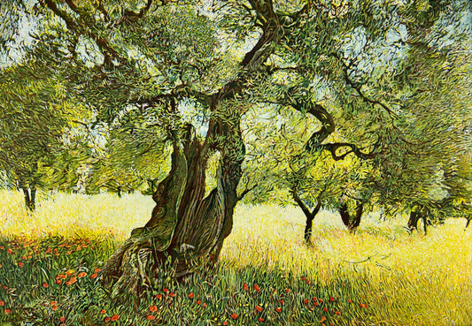 Hermann, Günther, Olivenhain Andalusien II, 34,5 x 49,5cm, Farbradierung