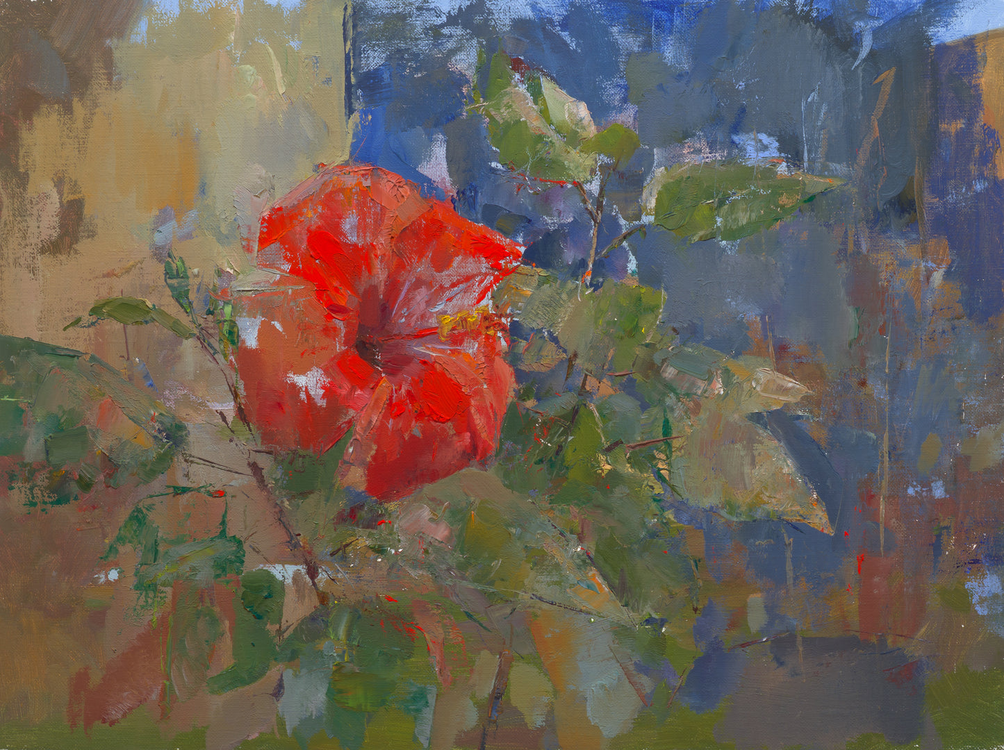 Wirtz, Björn, Hibiskus, 30 x 40cm, Ölgemälde