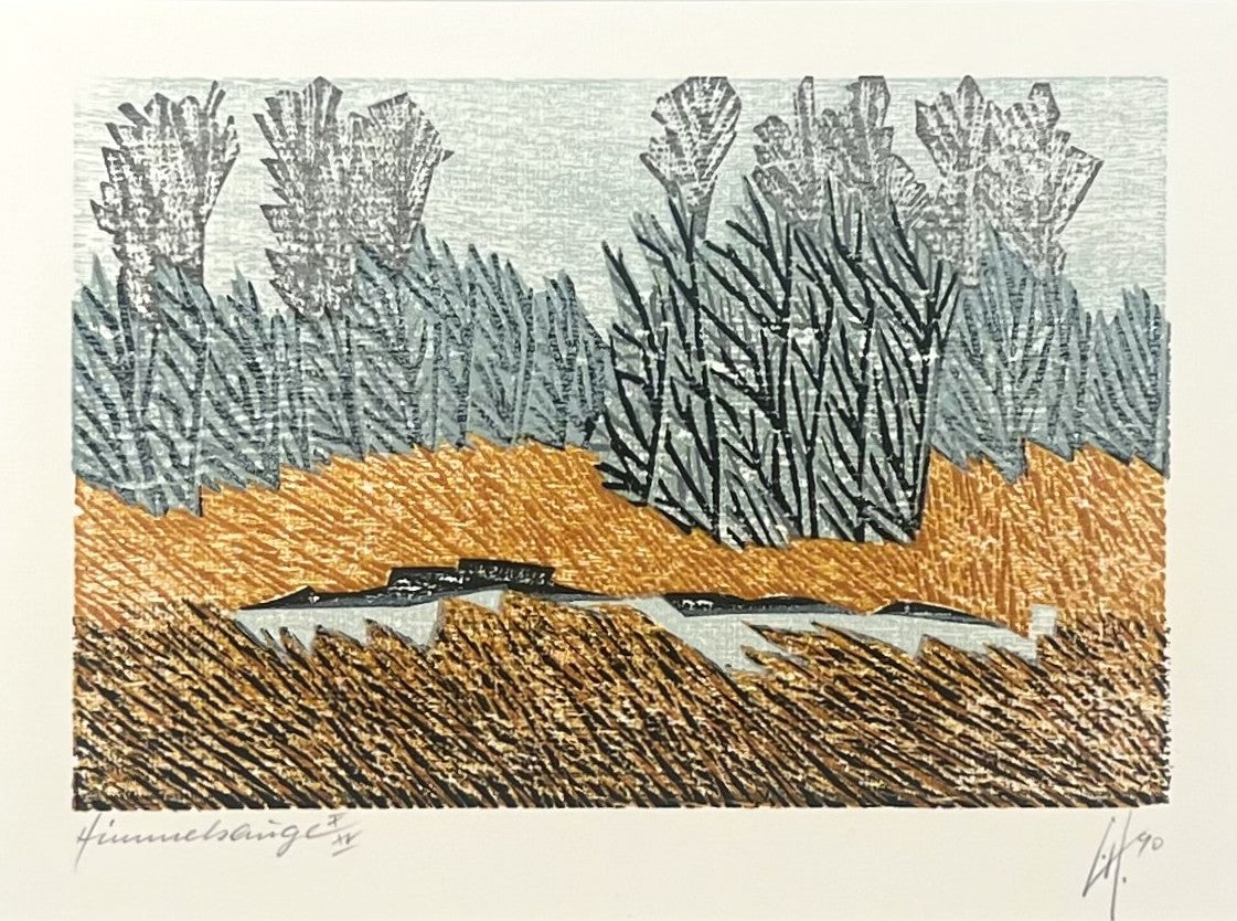 Hermanns, Gerhard, Himmelsauge, 16,3 x 23,5cm, X/XV, Holzschnitt, 1990