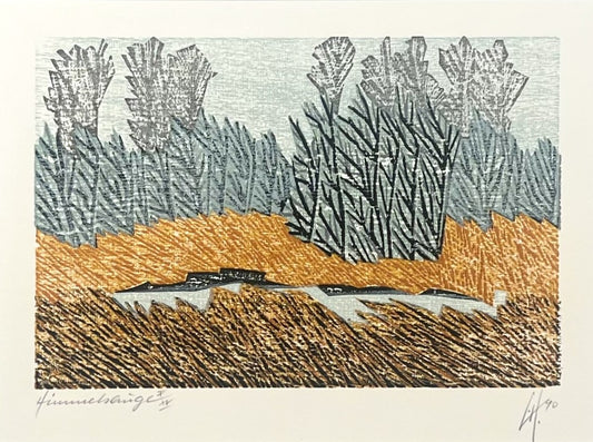 Hermanns, Gerhard, Himmelsauge, 16,3 x 23,5cm, X/XV, Holzschnitt, 1990