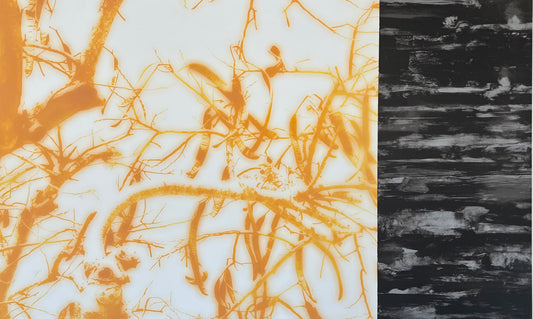 Holstein, Bent, Golden Locust Tree, 60 x 98cm, 68/99, Farblithografie