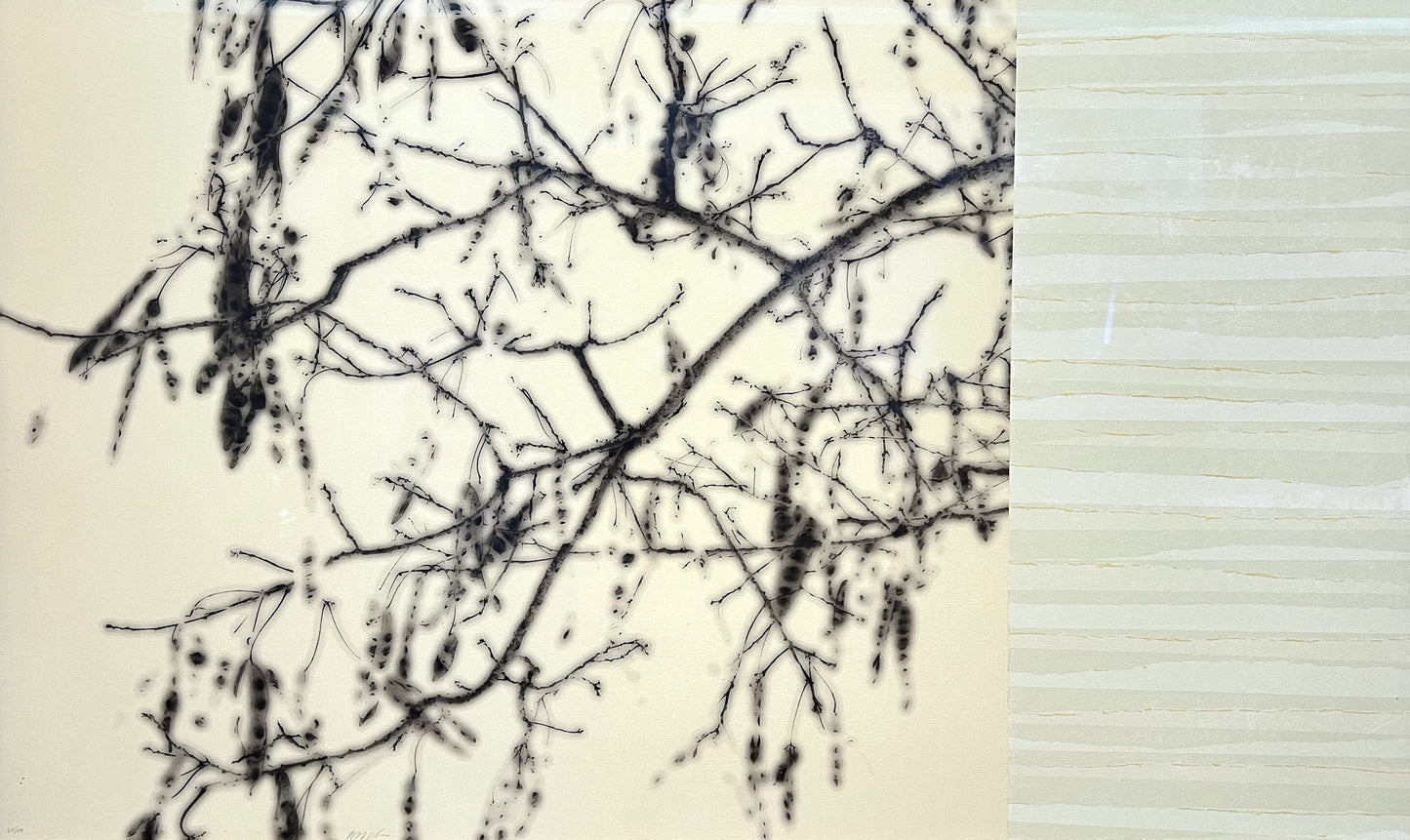 Holstein, Bent, White Locust Tree, 60 x 98cm, 60/99, Farblithografie